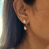 Dorthy MultiStud Zircon Earrings